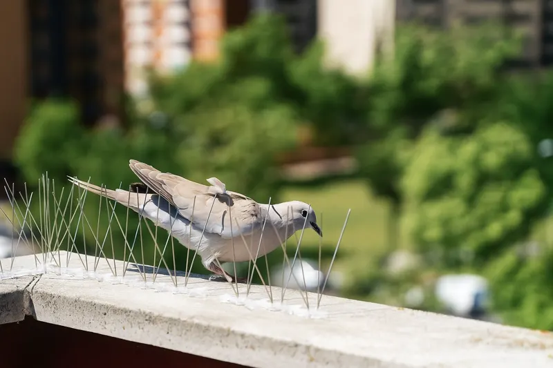 Schools & Aged Care property in Sydney
